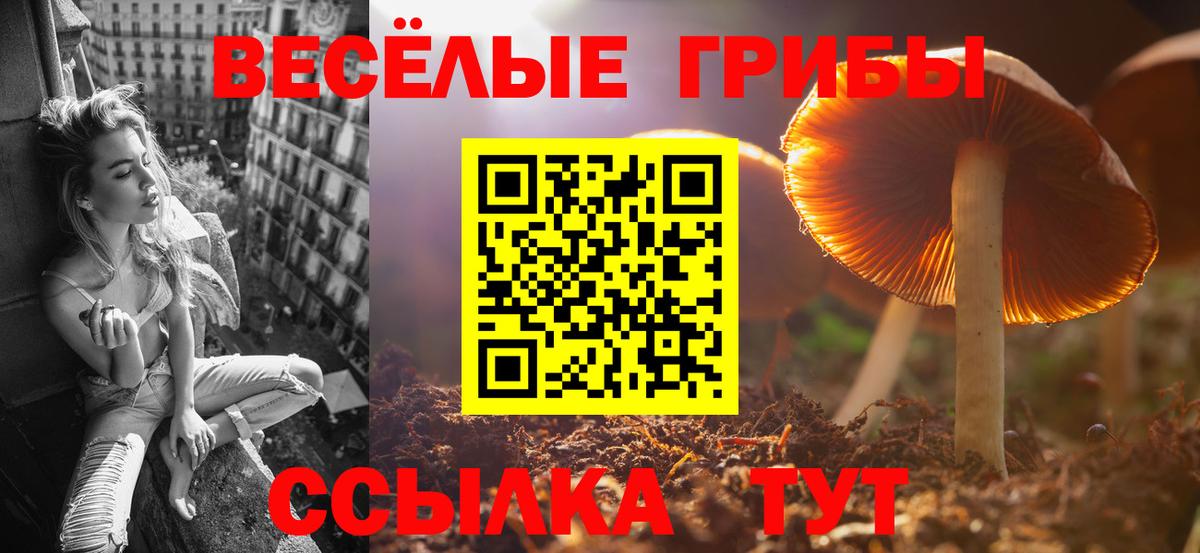 Псилоцибиновые грибы прущие грибы  Псилоцибиновые грибы Cubensis  Бузулук  Вход с VPN 